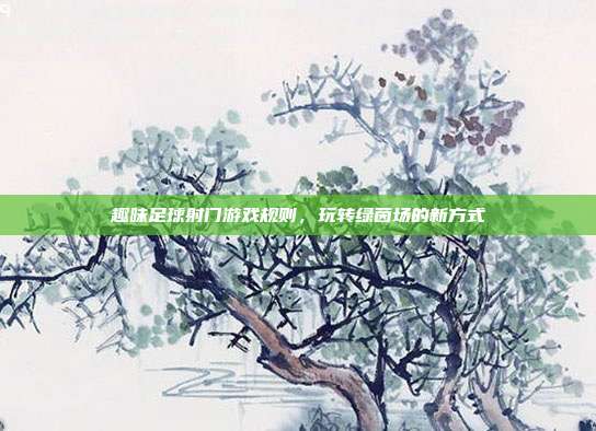 趣味足球射门游戏规则，玩转绿茵场的新方式