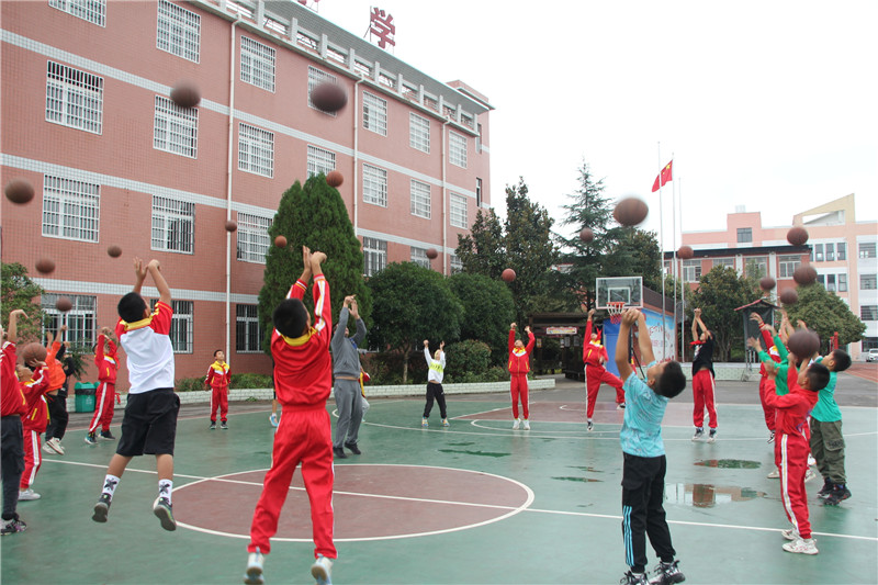 全国小学生篮球赛冠军_三寨小学篮球赛冠军_容桂小学篮球比赛